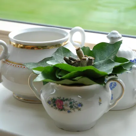 Schloms Hof Waffensen