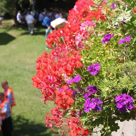 Schloms Hof * Waffensen