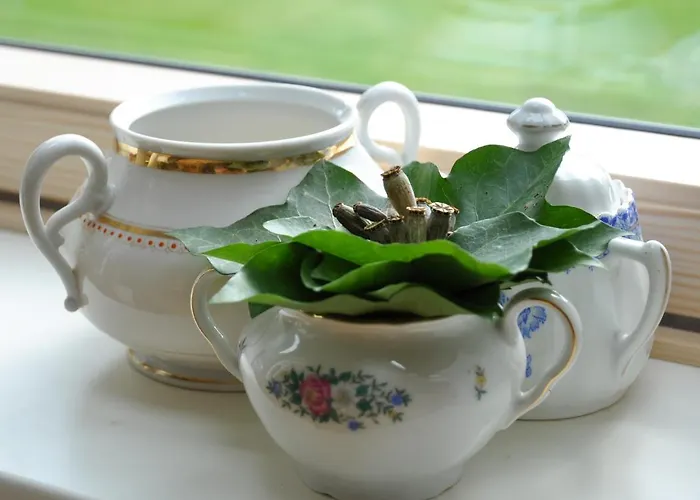 Schloms Hof Waffensen