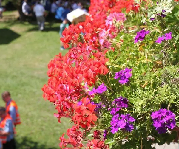 Schloms Hof * Waffensen